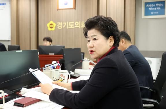 경기도의회 남경순 의원, 경기청년 기회사다리금융, 실패 없는 성공 위한 관리 대책 요구