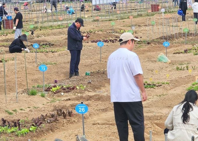 12일 모종 나눔행사가 열린 밤일 시민주말농장 모습.