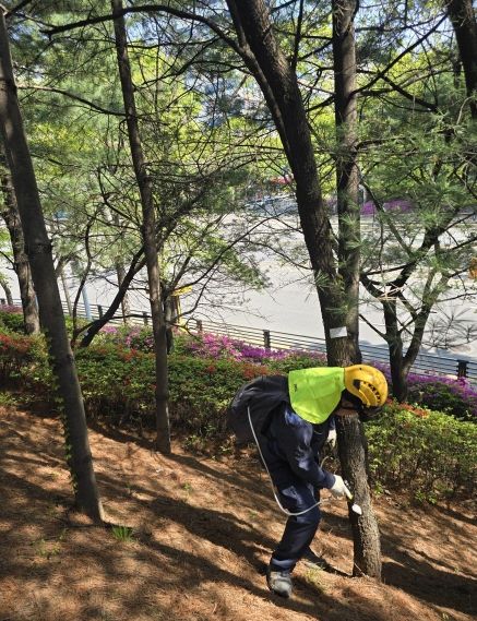 고양시 덕양구, 도심 속 녹지 산림병해충 방제 총력