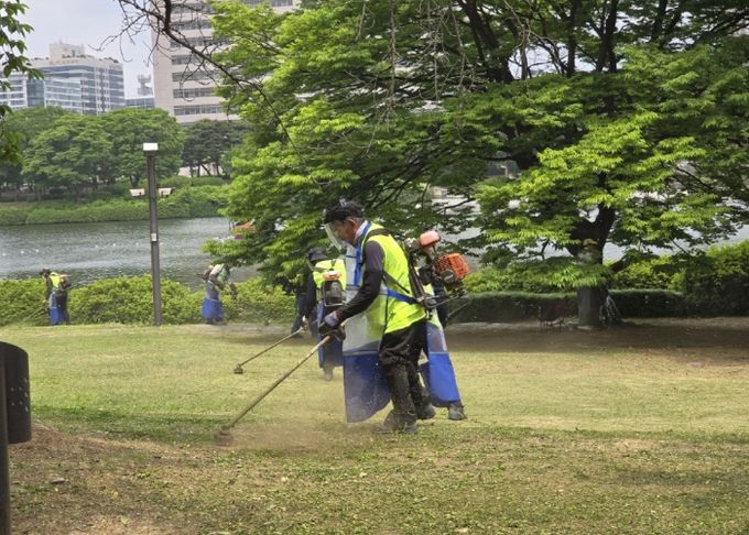 공원 예초·제초 작업
