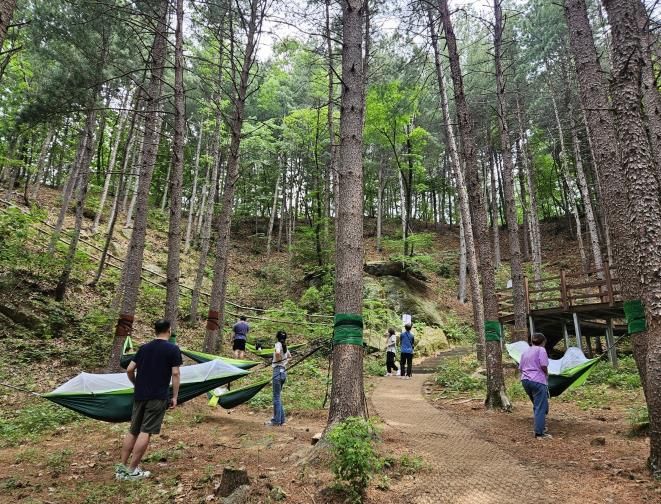 동두천치유의숲