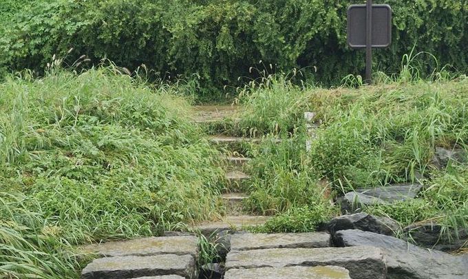 평택시, 추석맞이 하천변 제초 작업 실시