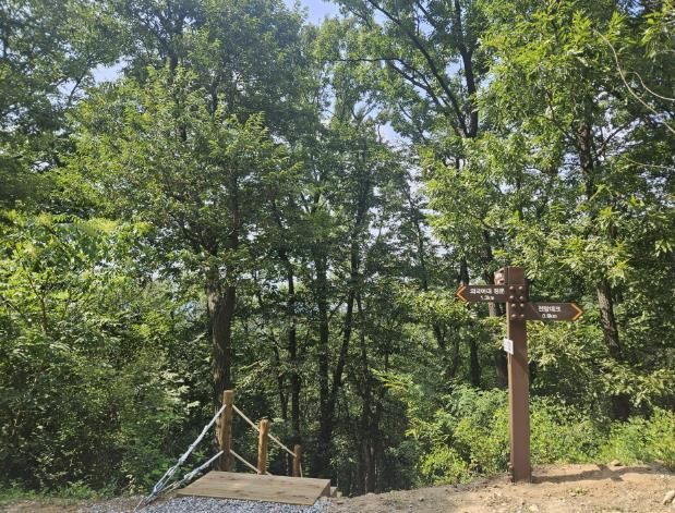 처인구 모현읍 왕산리 숲길 정비를 완료했다