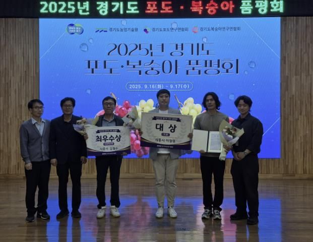 시흥시, 2025년 경기도 포도·복숭아 품평회서 3관왕 쾌거