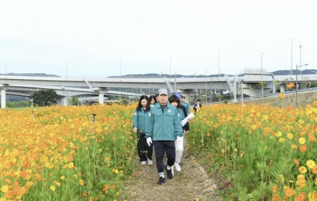 코스모스 꽃길 따라 구리로... 구리 코스모스 축제 ‘안전 점검’으로 준비 완료