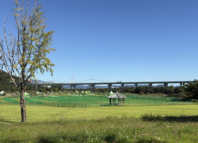 서봉장애인파크골프장 전경