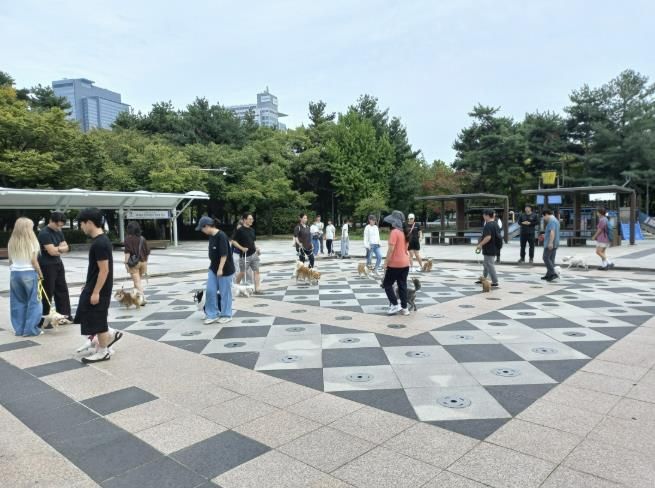 수원시 영통구 반려동물 문화교실