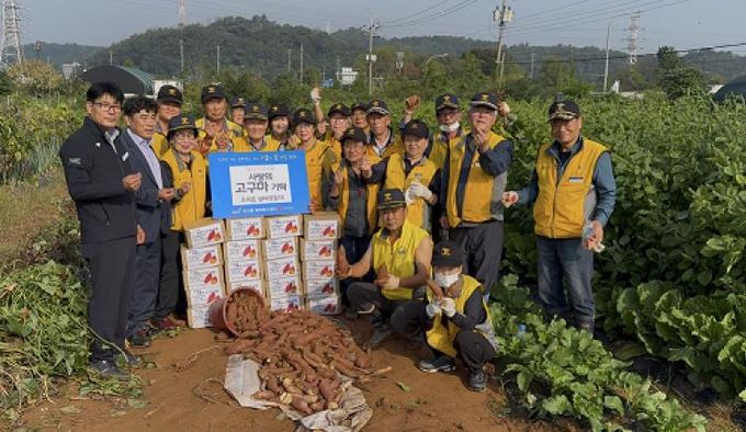 파주시 조리읍 실버경찰대, 고구마 20상자 수확… 행복나눔협의체 기탁