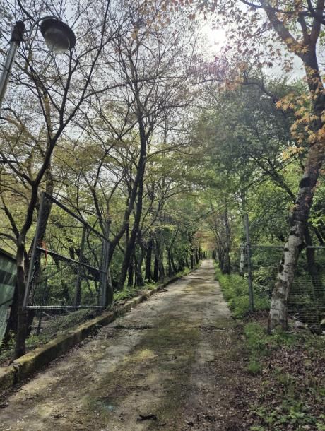 동두천시, '소요 숲 힐링공간 조성사업' 착공