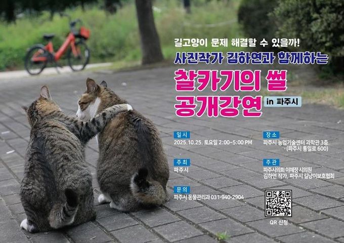 길고양이 편견 바로잡는다… 파주시, 25일 ‘길고양이 인식개선 교육’