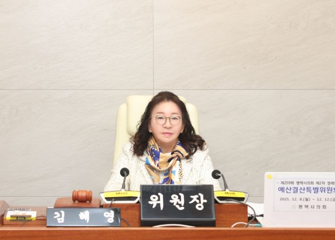 김혜영 예산결산특별위원장