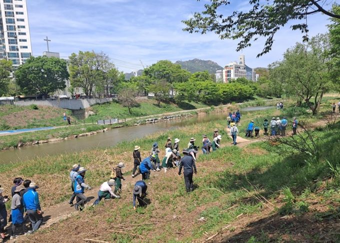 안양시, 시민 참여형 생태계 교란식물 제거활동 참가자 모집 중