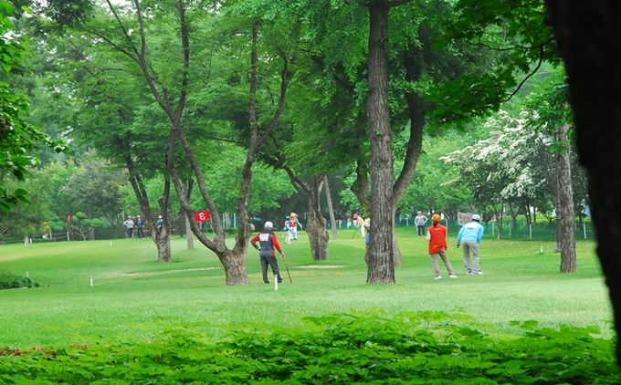 잠실파크골프장 이용객 경기 장면