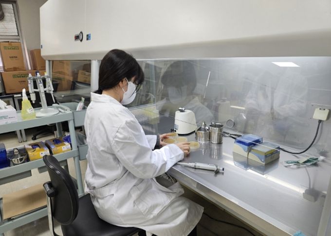 미생물 정량·정성검사