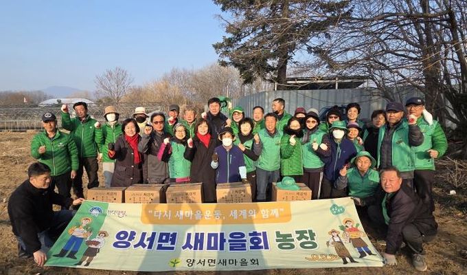 양서면 새마을회 감자심기 행사