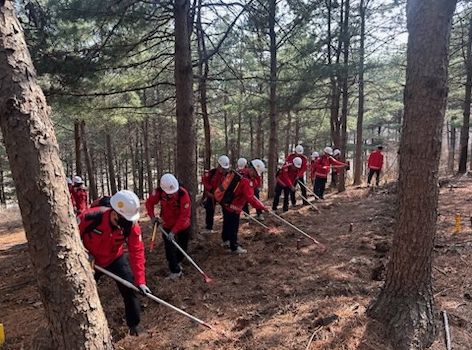 산불 대응 합동훈련