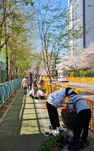 고양시 행신3동, 초화류 식재로 아름다운 꽃길 조성